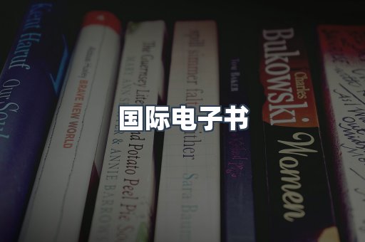 国际电子书
